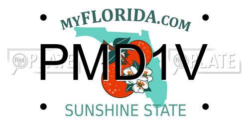 PMD1V Florida License Plate