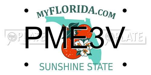 PME3V Florida License Plate