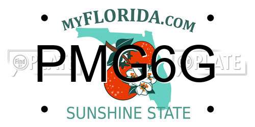 PMG6G Florida License Plate