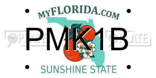 PMK1B Florida License Plate
