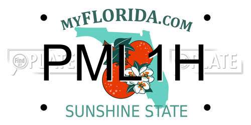 PML1H Florida License Plate