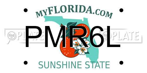 PMR6L Florida License Plate