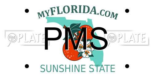PMS Florida License Plate