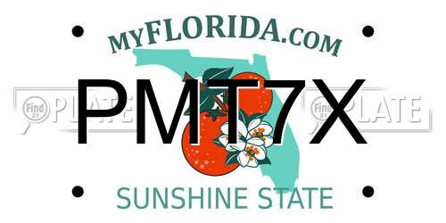 PMT7X Florida License Plate