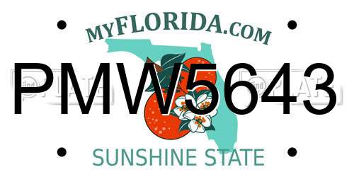 PMW5643 Florida License Plate