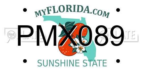 PMX089 Florida License Plate