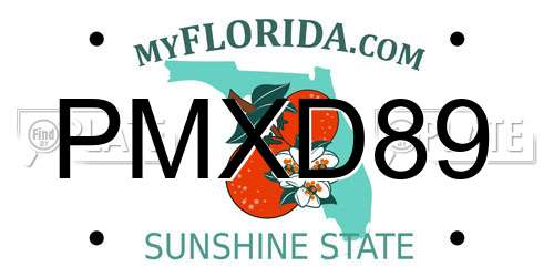 PMXD89 Florida License Plate
