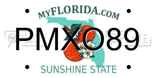 PMXO89 Florida License Plate