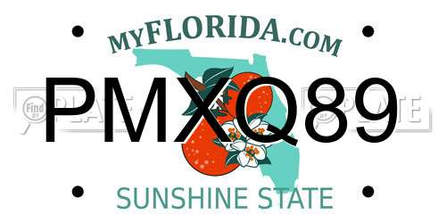 PMXQ89 Florida License Plate
