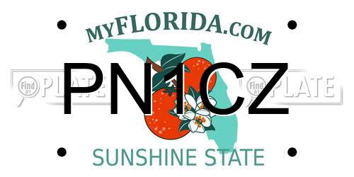 PN1CZ Florida License Plate