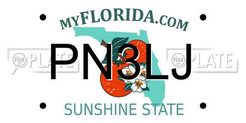 PN3LJ Florida License Plate