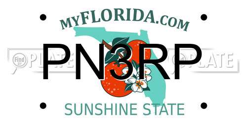 PN3RP Florida License Plate