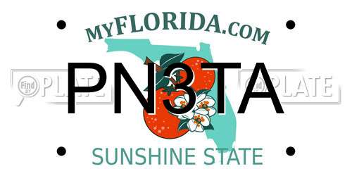 PN3TA Florida License Plate