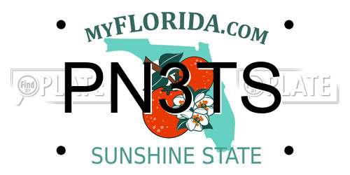 PN3TS Florida License Plate