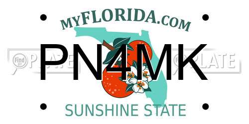 PN4MK Florida License Plate