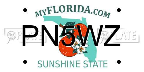 PN5WZ Florida License Plate