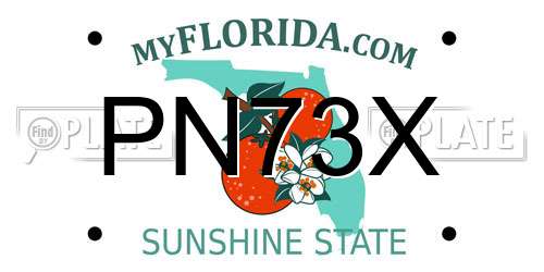 PN73X Florida License Plate