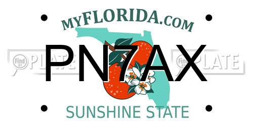 PN7AX Florida License Plate
