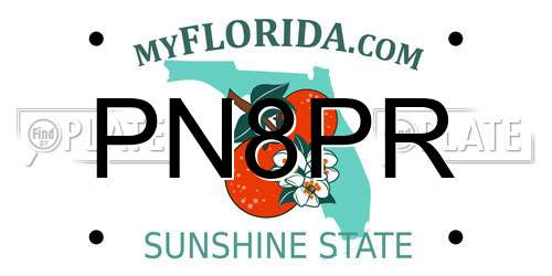PN8PR Florida License Plate