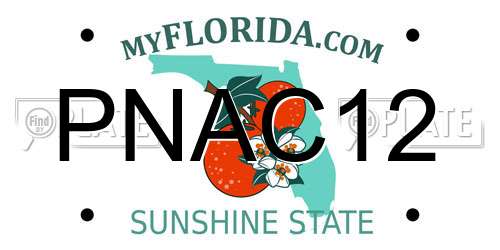 PNAC12 Florida License Plate