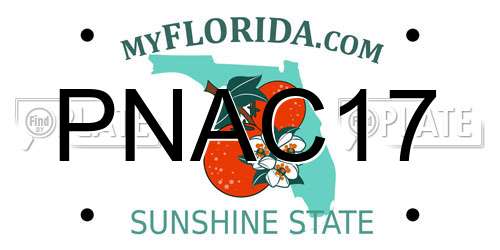 PNAC17 Florida License Plate