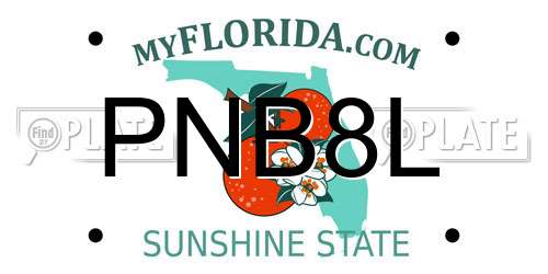PNB8L Florida License Plate