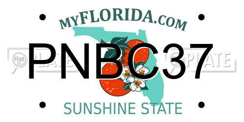 PNBC37 Florida License Plate