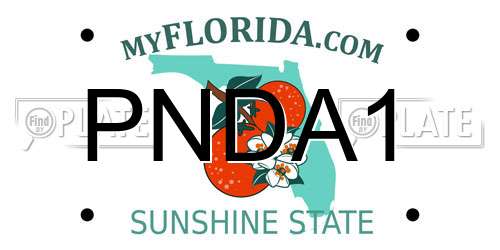 PNDA1 Florida License Plate