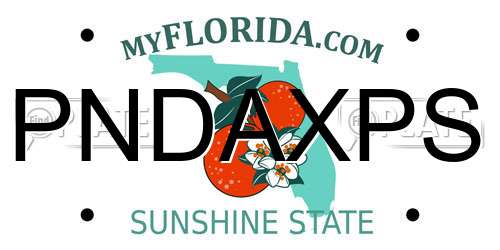 PNDAXPS Florida License Plate