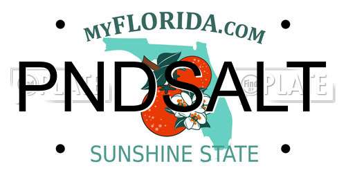 PNDSALT Florida License Plate