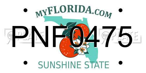 PNF0475 Florida License Plate