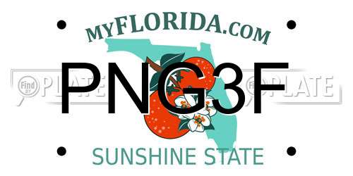PNG3F Florida License Plate