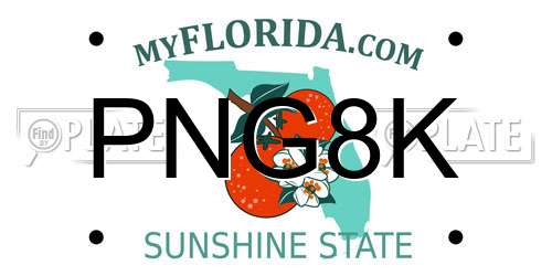 PNG8K Florida License Plate