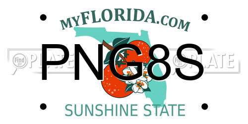PNG8S Florida License Plate