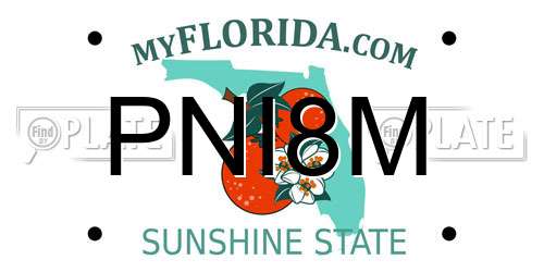 PNI8M Florida License Plate