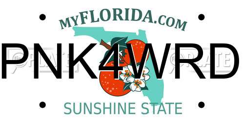 PNK4WRD Florida License Plate