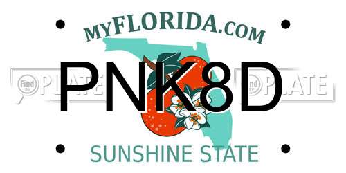 PNK8D Florida License Plate