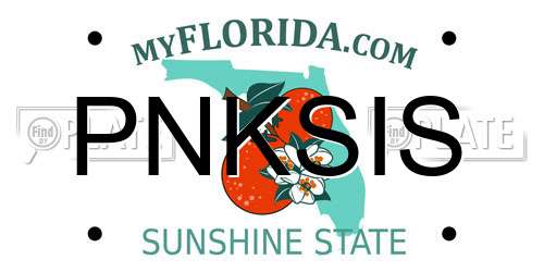 PNKSIS Florida License Plate