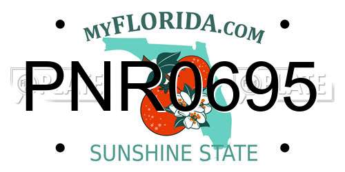 PNR0695 Florida License Plate