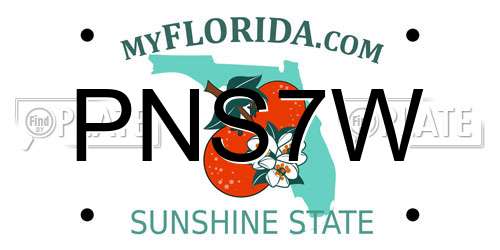 PNS7W Florida License Plate