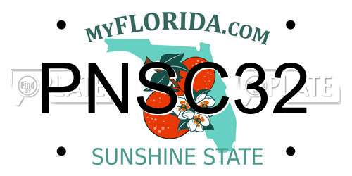PNSC32 Florida License Plate