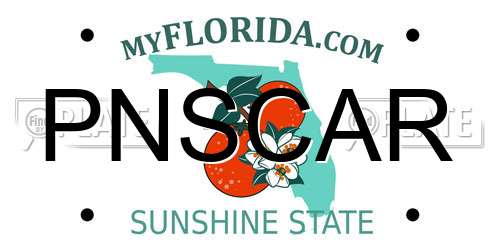 PNSCAR Florida License Plate