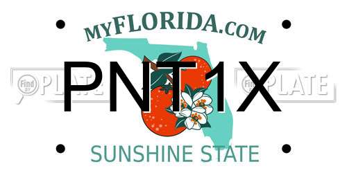 PNT1X Florida License Plate