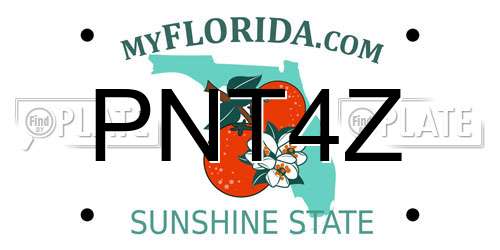 PNT4Z Florida License Plate