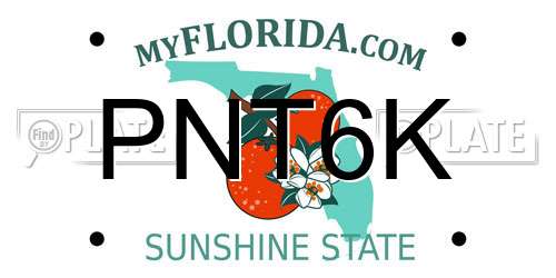 PNT6K Florida License Plate