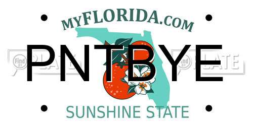 PNTBYE Florida License Plate