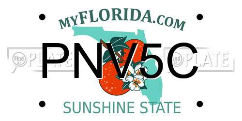 PNV5C Florida License Plate