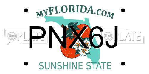 PNX6J Florida License Plate