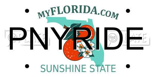 PNYRIDE Florida License Plate