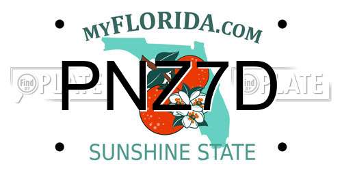 PNZ7D Florida License Plate